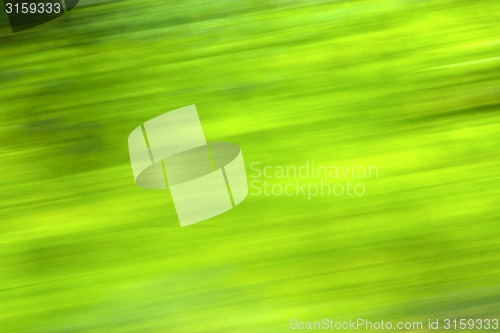 Image of green nature  