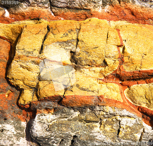 Image of abstract lanzarote   lichens 