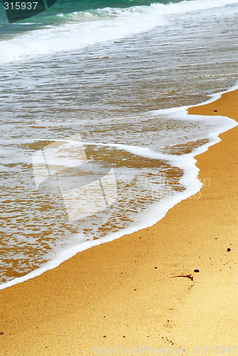 Image of Sandy ocean beach