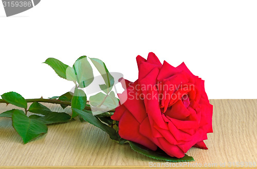 Image of Red rose on the table surface on a white background.