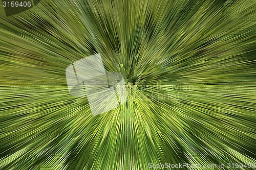 Image of Green unusual background