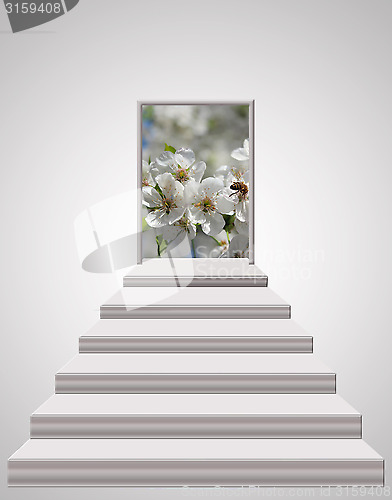 Image of stairs leading from light room to cherry