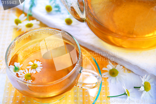 Image of Camomile tea