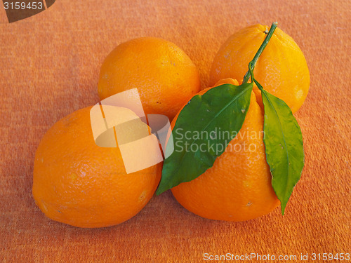 Image of Orange fruit