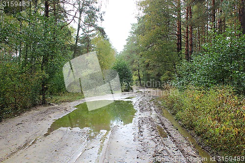 Image of forest road with big pool after rain