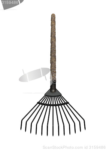 Image of Grass Rake