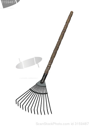 Image of Grass Rake