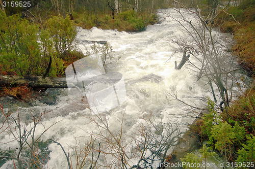 Image of Fast stream in the taiga