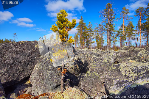 Image of Glacial moraine of huge pieces of granite.