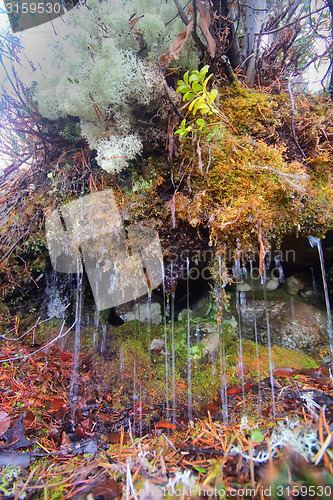 Image of Fountain of tears - beautiful phenomenon of nature