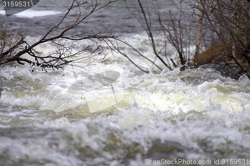 Image of Taiga flowing spring river