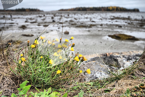 Image of Indian summer in  Russian North