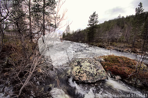 Image of Taiga flowing spring river