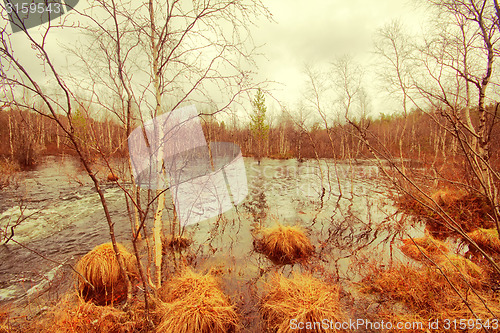 Image of River flood in the spring.  in the forest.