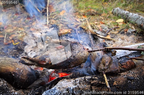Image of Exclusive food game bird on a spit