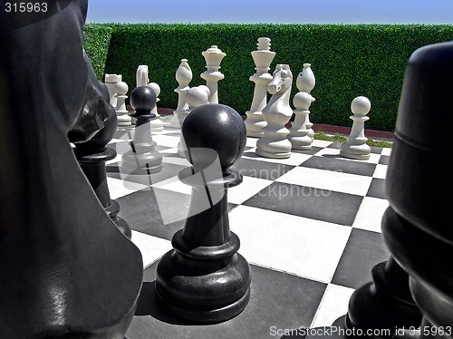 Image of Chess in garden
