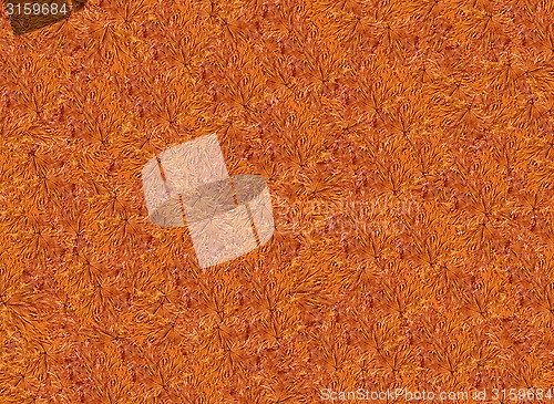 Image of abstract brown texture with Autumn leaves