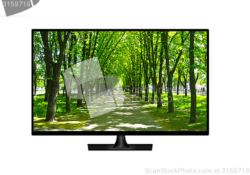 Image of television set with image of green park isolated 