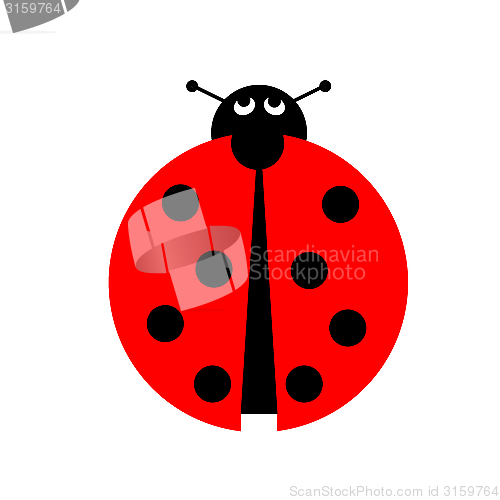 Image of Ladybug