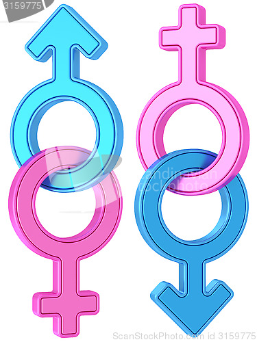 Image of Set of male and female gender symbols chained together on white