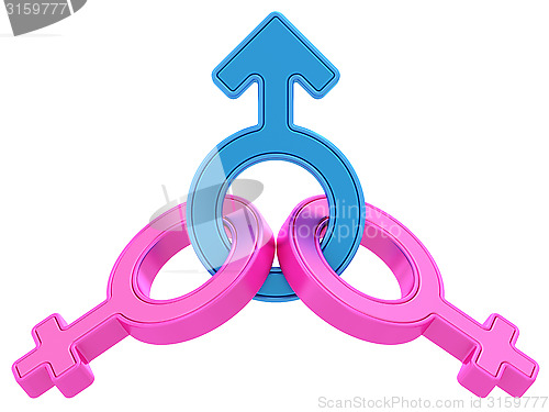 Image of Male and two female gender symbols chained together on white