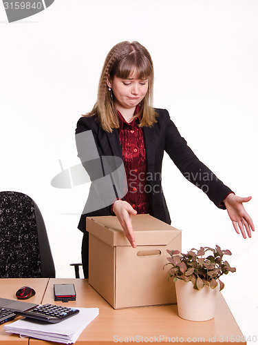 Image of Girl in office grotyagivaet hands to indoor potted tsvutku