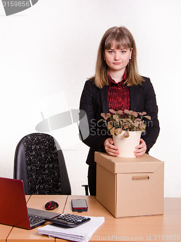 Image of Girl in office about desktop keeps indoor potted plant