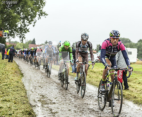 Image of The Peloton on a Cobbled Road- Tour de France 2014