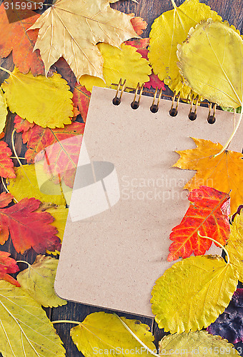 Image of autumn background