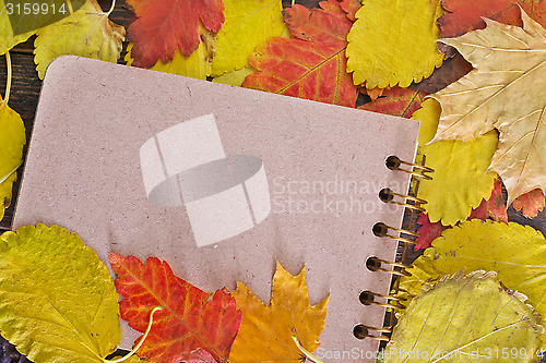 Image of autumn background