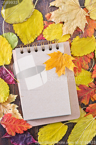 Image of autumn background