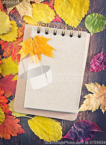 Image of autumn background