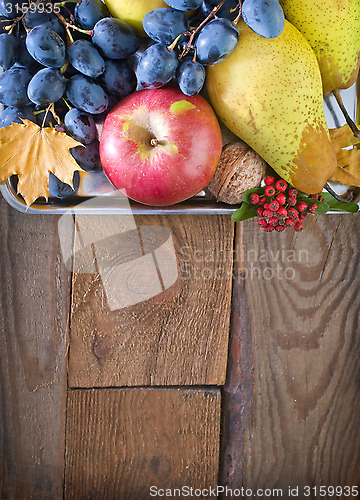 Image of autumn harvest