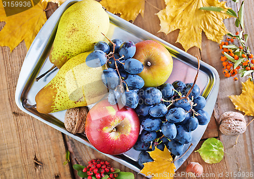 Image of autumn harvest