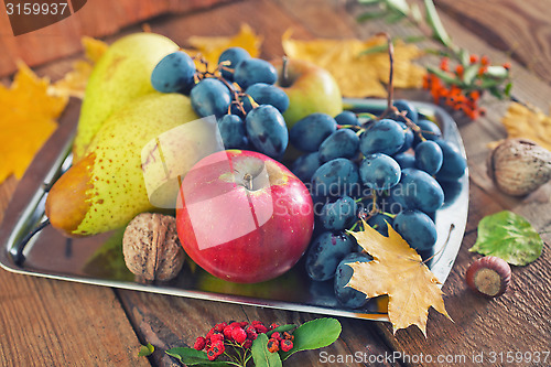 Image of autumn harvest