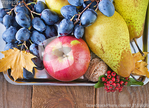 Image of autumn harvest