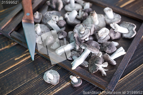 Image of raw mushrooms
