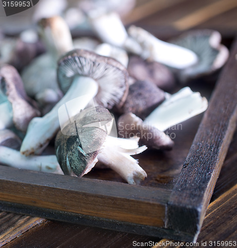 Image of raw mushrooms
