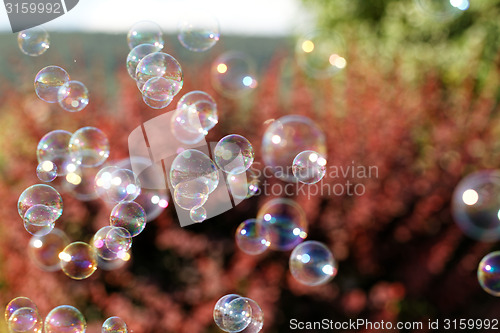 Image of Soap bubbles