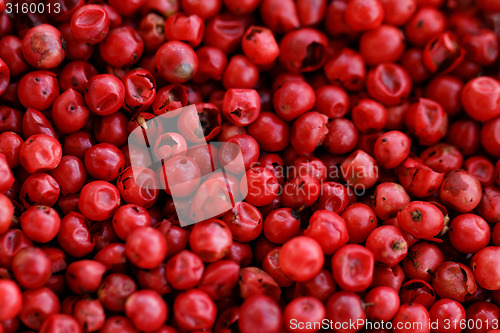 Image of Pink Pepper