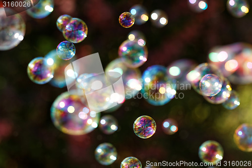 Image of Soap bubbles