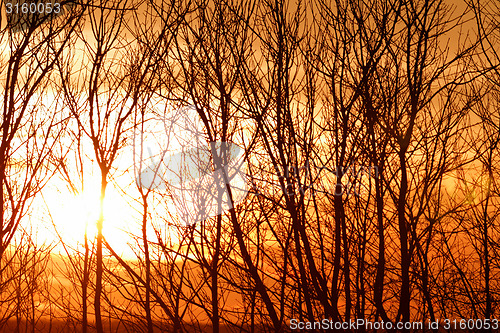 Image of Sunset background