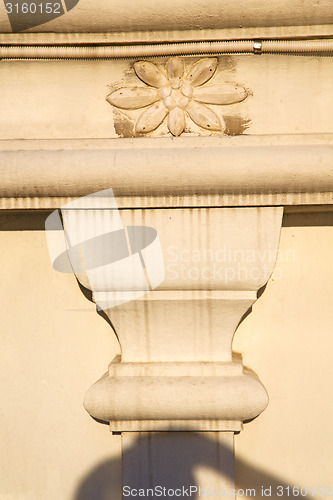 Image of thailand  bangkok   palaces  temple   abstract    in the  flower