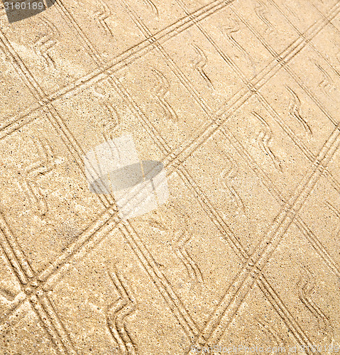 Image of brick in  varese abstract   pavement of a curch and marble