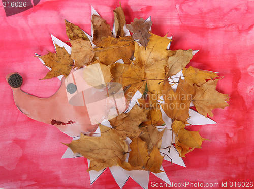 Image of hedgehog
