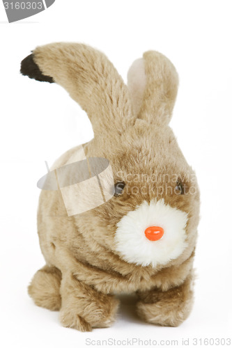 Image of Easter Bunny