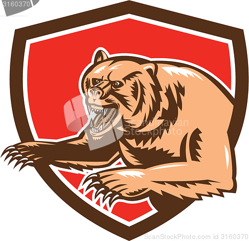 Image of Grizzly Bear Angry Shield Retro