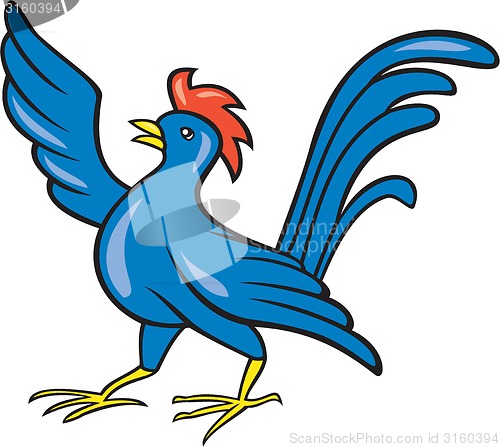 Image of Chicken Rooster Wing Pointing Cartoon