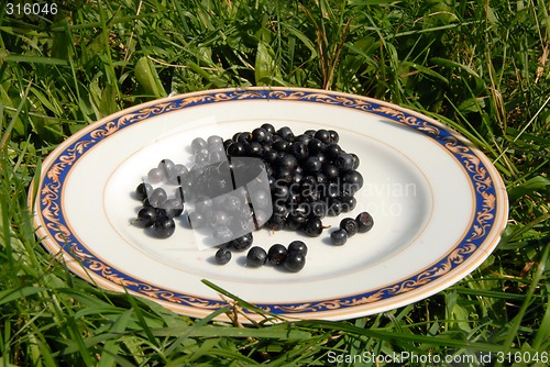 Image of Small bucket full of fresh blueberries