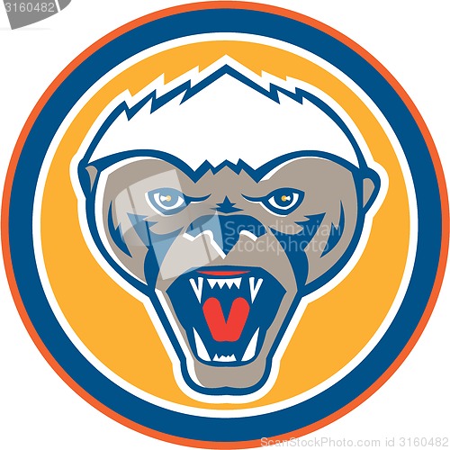 Image of Honey Badger Mascot Head Circle Retro